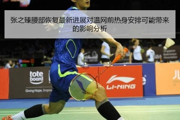 张之臻腰部恢复最新进展对温网前热身安排可能带来的影响分析